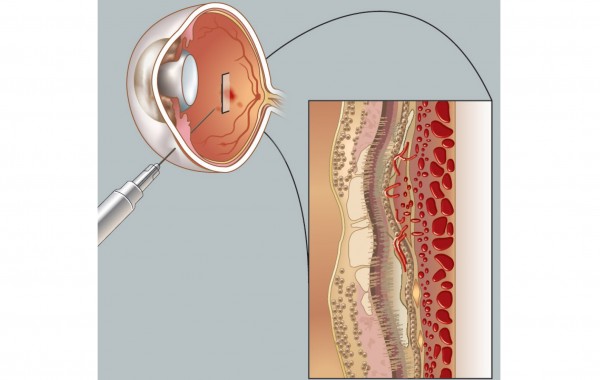 Scientific illustration