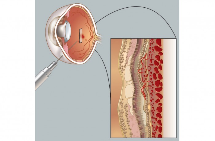 Scientific illustration